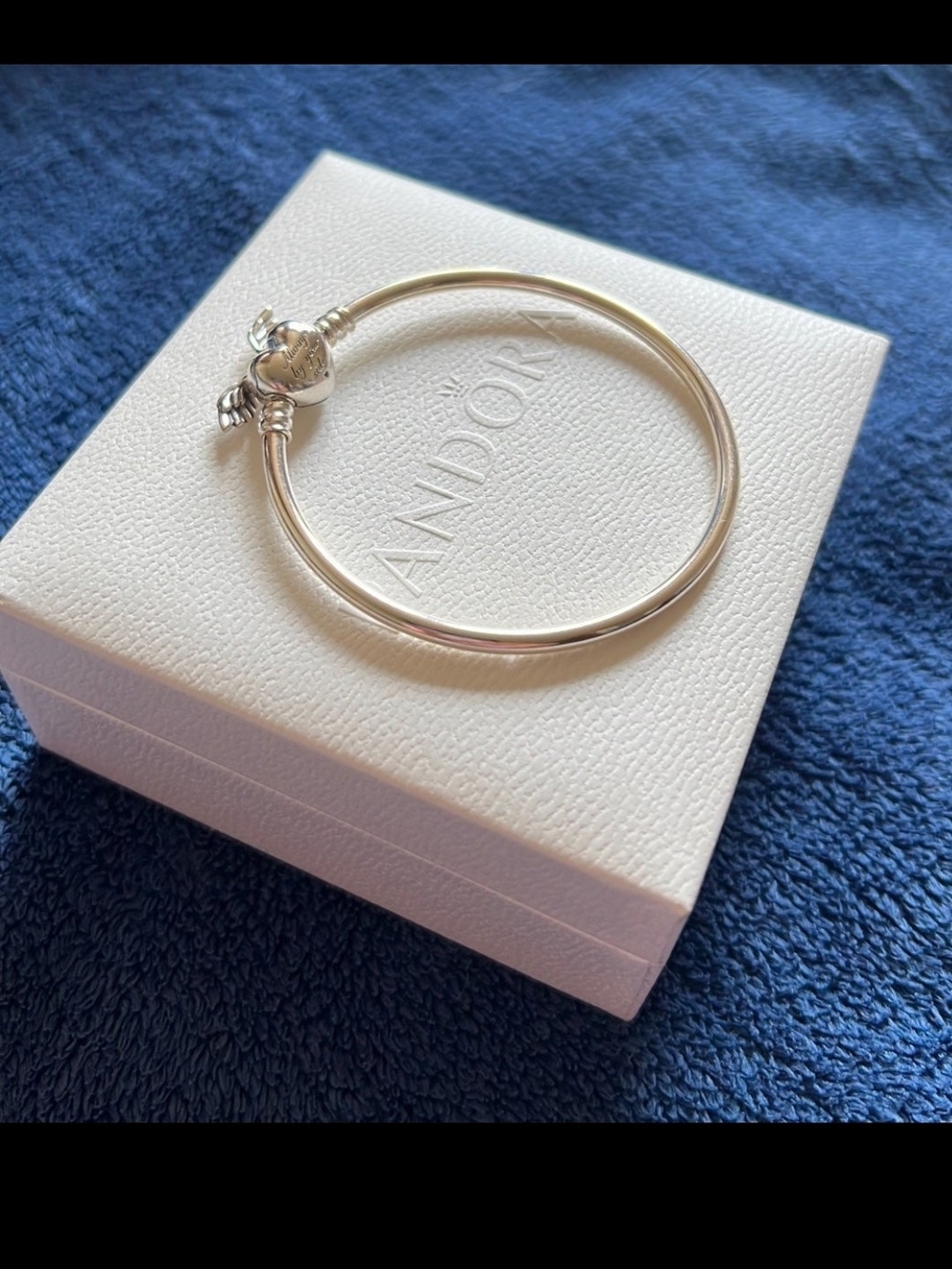 Pandora Silver Icon Bangle Bracelet - Classic Silver